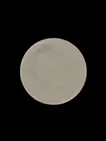 圆 11