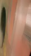 私たちが共有する静けさ