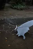 右の翼、天候