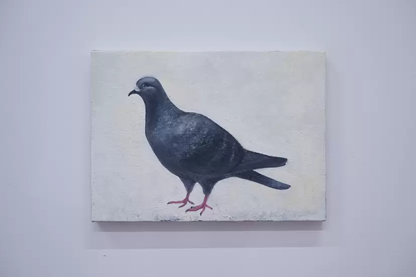 鳩 by 村岡 佑樹