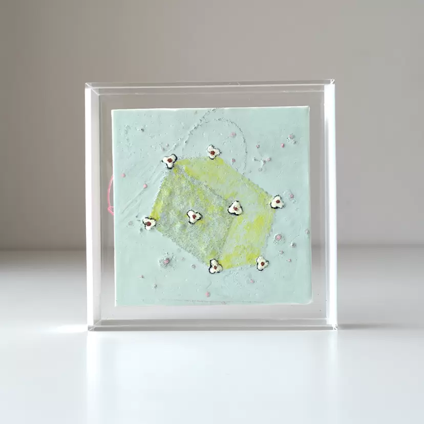 pudding flower seed box by Ikuko Matsuo