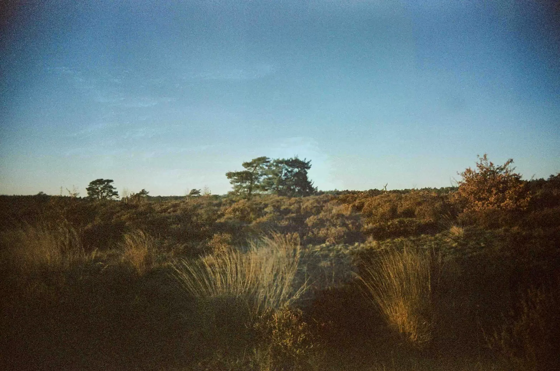 Excursion (II)