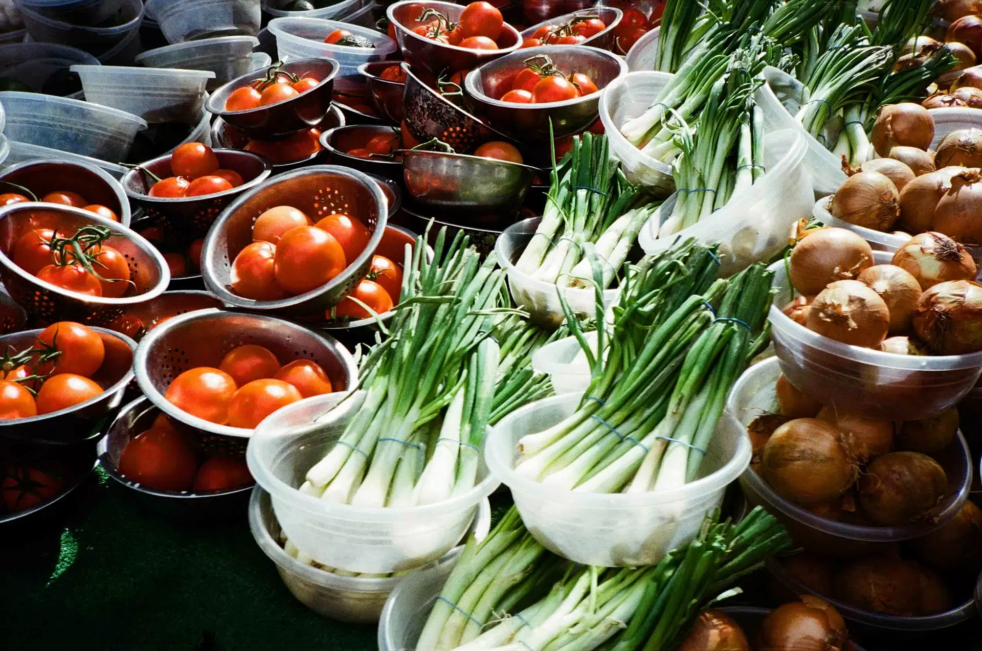 Our Harvest (I)
