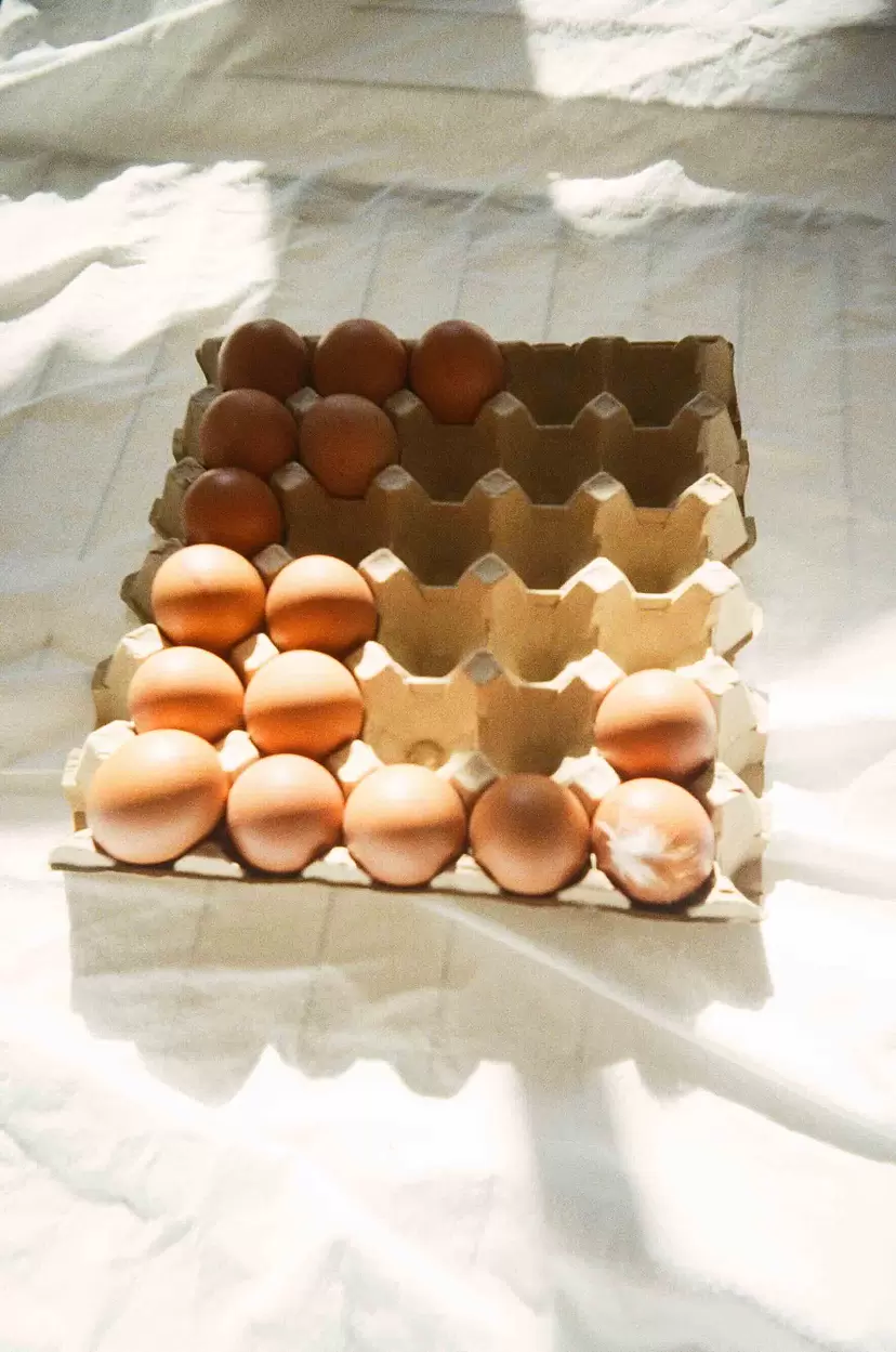 Eggs by Ryhan M.Y.