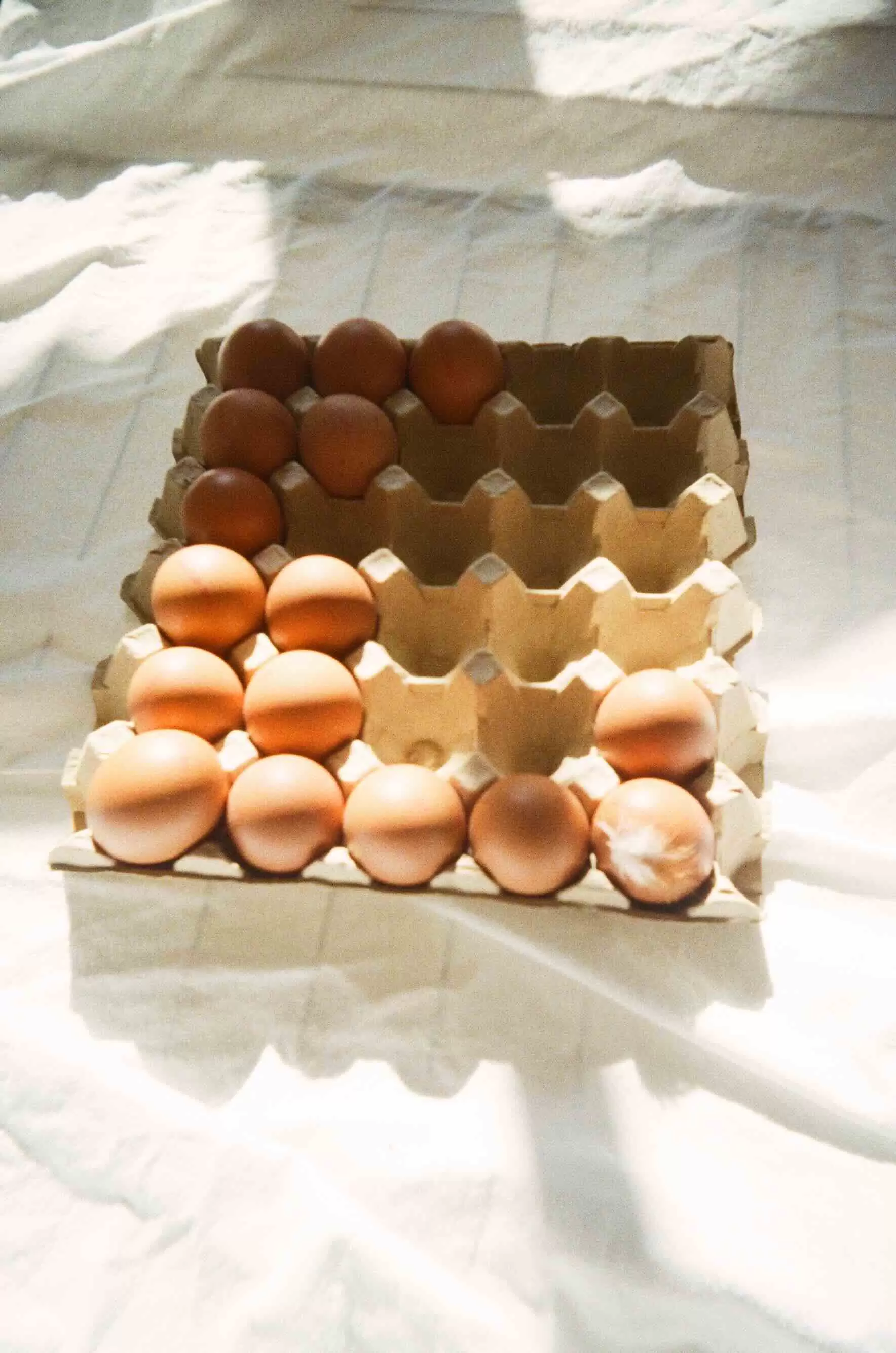 Eggs