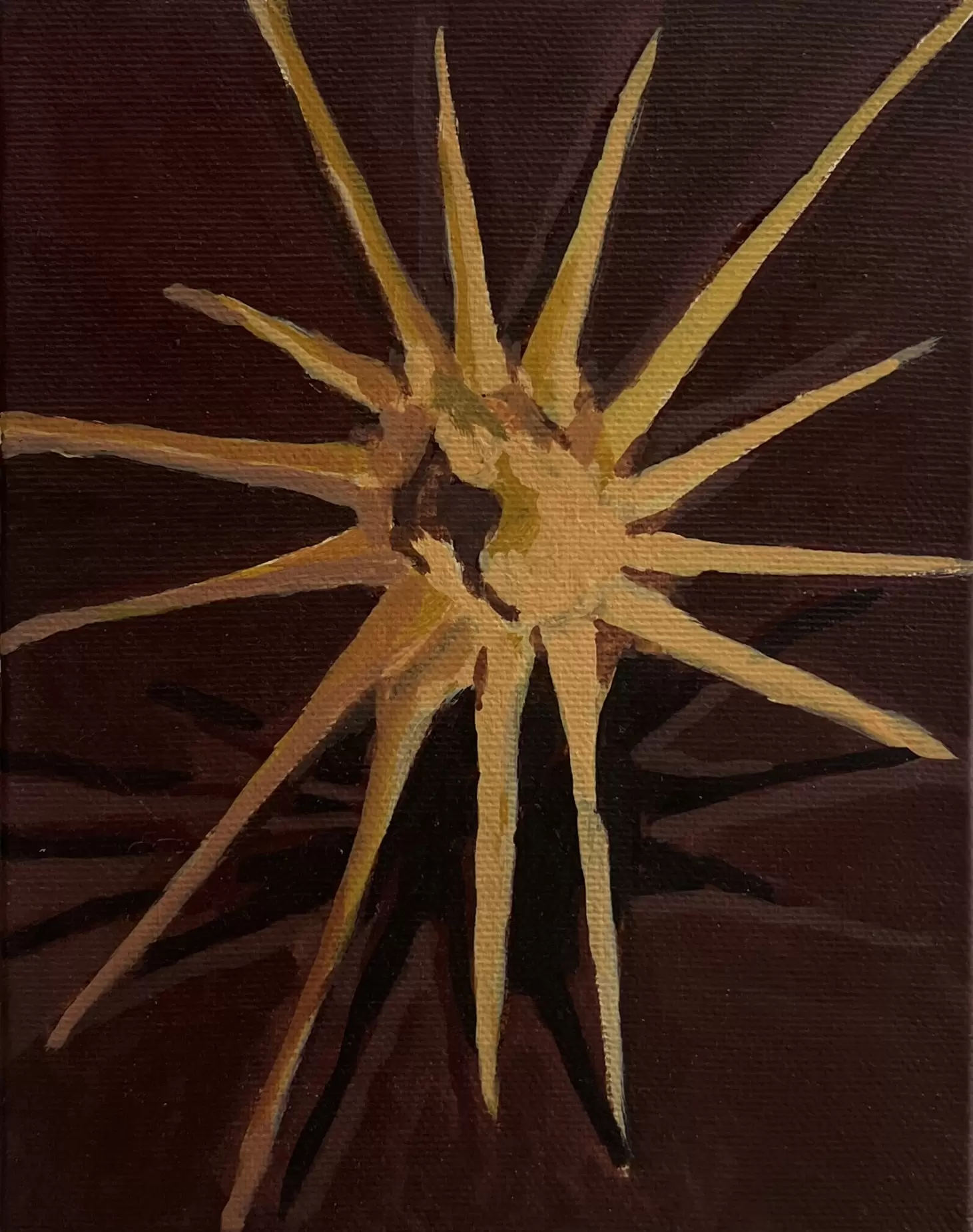 Curio #8