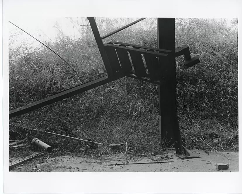 Untitled from the series “Propagation Imitator” by Hiroko Komatsu