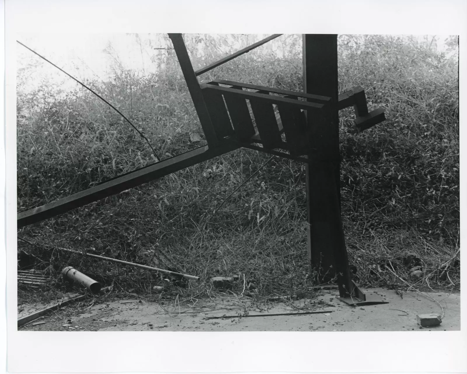Untitled from the series “Propagation Imitator”