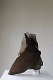 ちょっとした一言