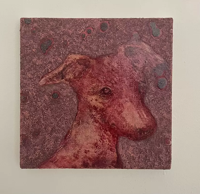 The Italian Greyhound(face) by 鳴海 暢平