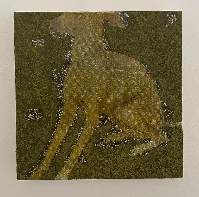 The Italian Greyhound(body) by 鳴海 暢平