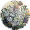Circulating Breath