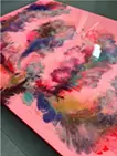 Poem of Petal Shadows
