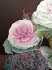 Kale