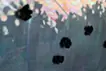 あの日の宇宙(そら)