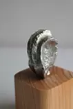 小さな宇宙