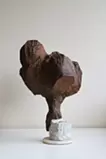 陽光を浴びる