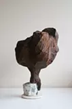 陽光を浴びる