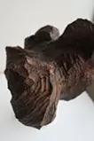 陽光を浴びる
