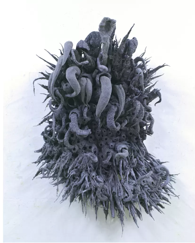 Gray sunflower by 明石 雄