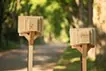 風景を読む
