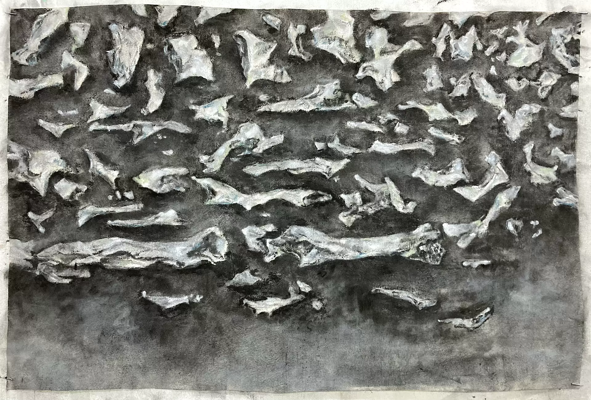 お母さんの骨 / My mother's ashes