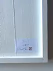 ひかり　(Light)