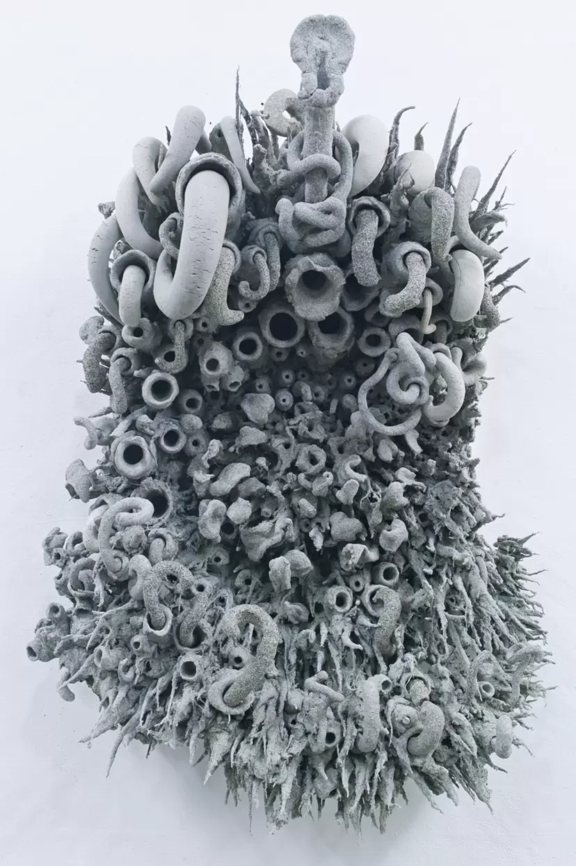 Gray sunflower 2023 by 明石 雄