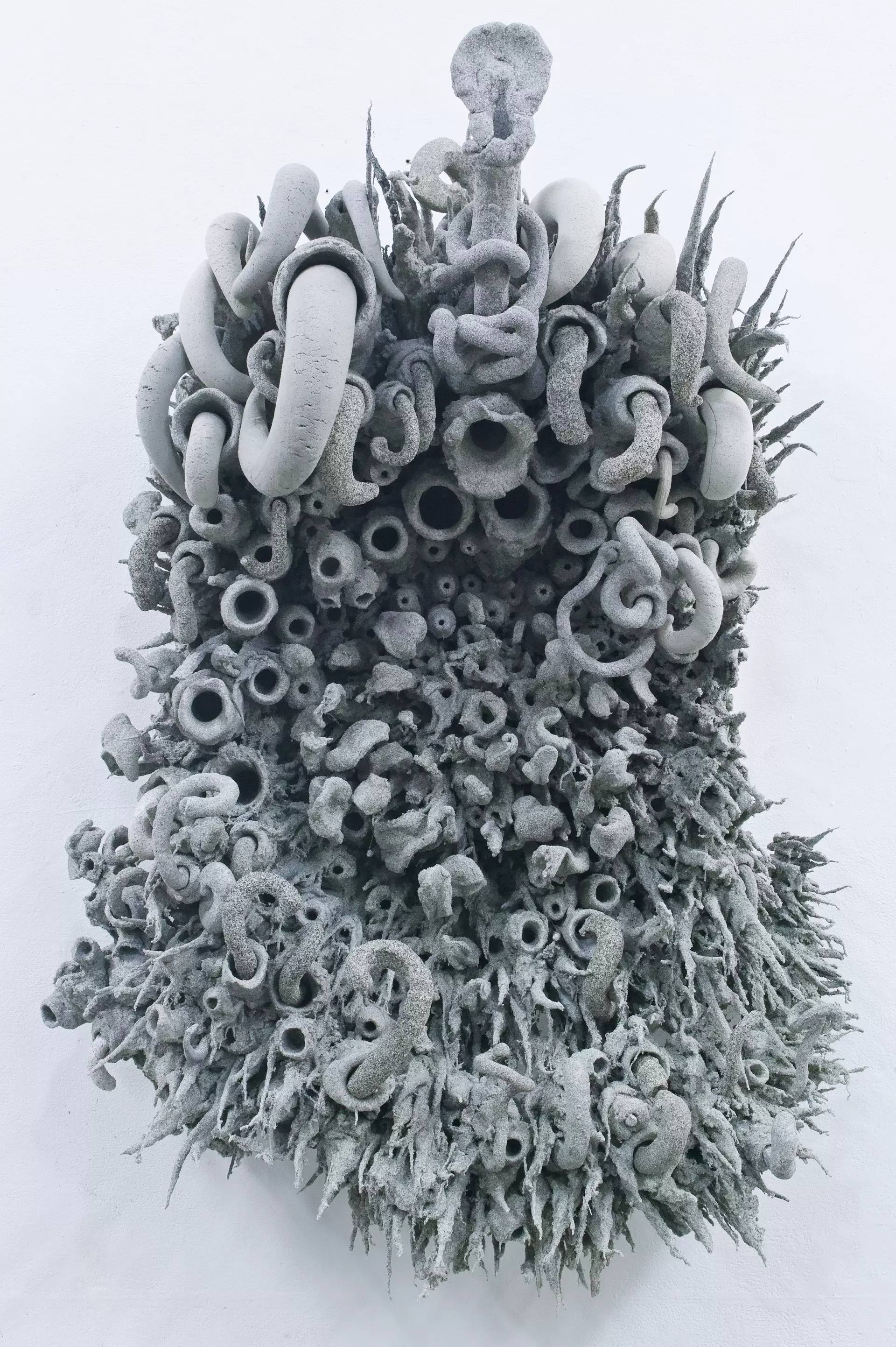 Gray sunflower 2023
