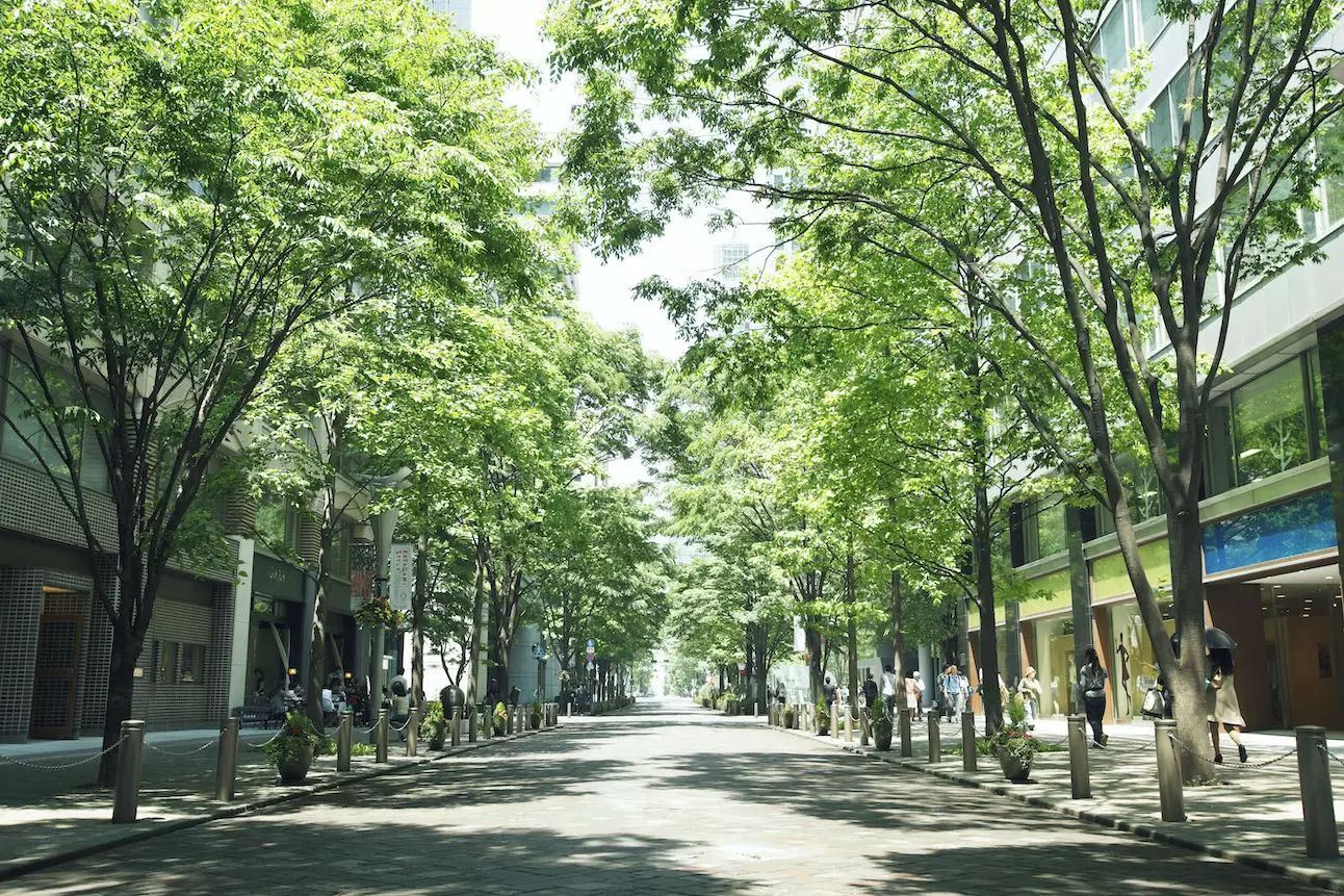 Next Fashion Designer of Tokyo by TOKYO CREATIVE SALON