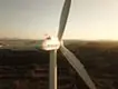 雑草 | 唐津市湊風力発電所