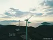 雑草 | 唐津市湊風力発電所