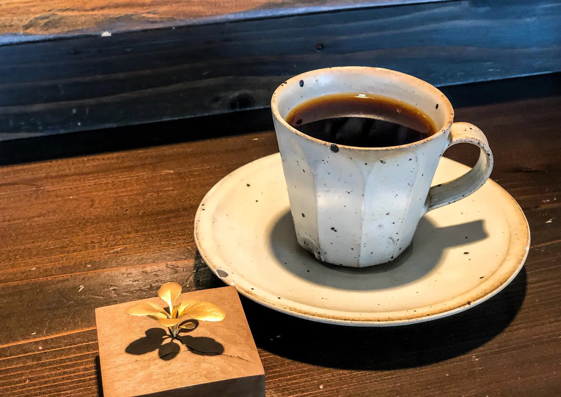 雑草 | caffe Luna 