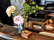 雑草 | caffe Luna 