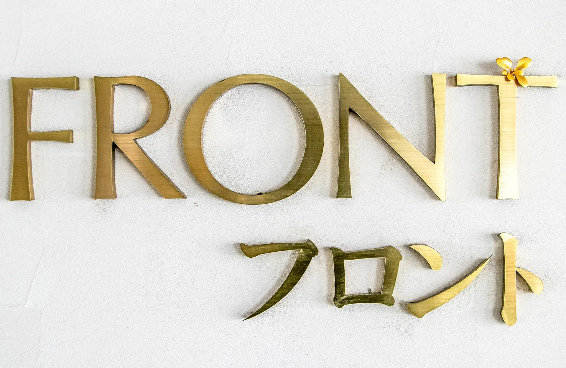 雑草 | 唐津市国民宿舎 虹の松原ホテル by 須田悦弘 | 現代アートの