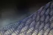 感覚