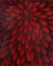 meditation red