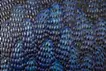meditation blue
