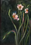 水仙5