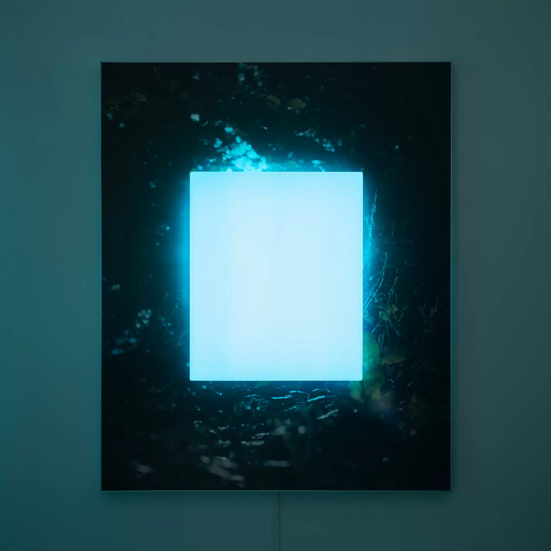BLANK #2
