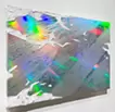 倒木