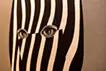 Portrait of dazzle #200
