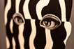 Portrait of dazzle #199