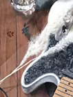 おみわたり