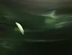 ピンクノイズ