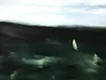 ピンクノイズ