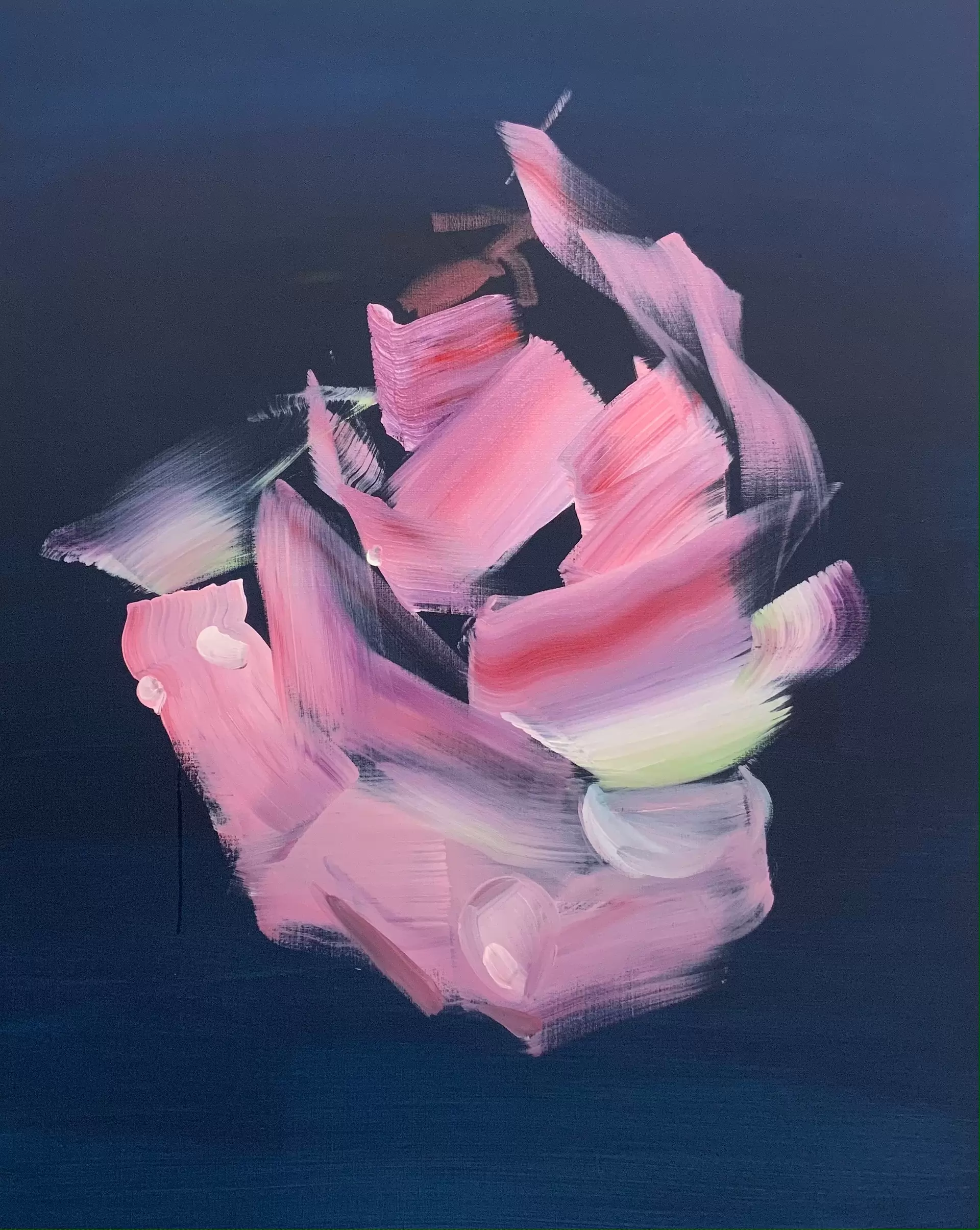 roses in the night