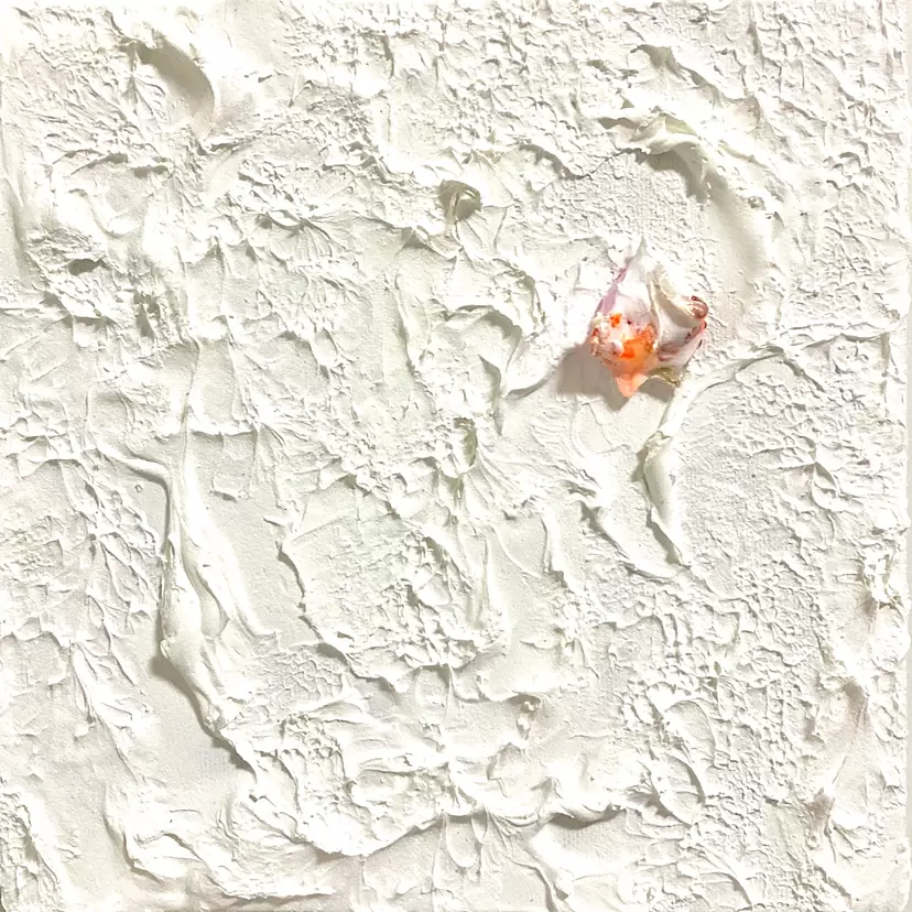 The letter from stars ＊1(hopes) by 清水 佳代子