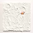 The letter from stars ＊1(hopes)