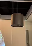 きらめく蝶々